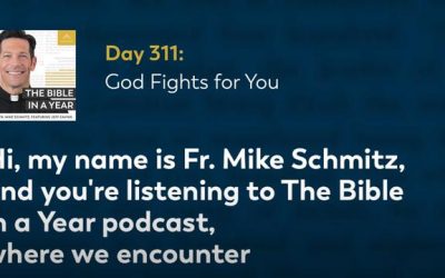 Day 311: God Fights for You (2022)